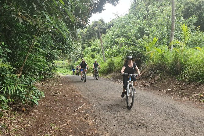 'Discover' Rarotonga Cycling Tour with Lunch - The Arorangi back roads reveal everyday Rarotonga