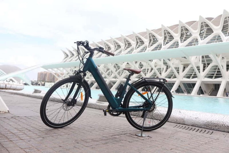 Discover Valencia by bike – Dutch-speaking tour - The Turia Gardens turn an old riverbed into a bike route
