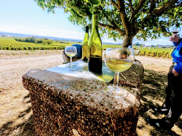Discovery by bike & Tasting in the vineyards - Gevrey-Chambertin is the headline village