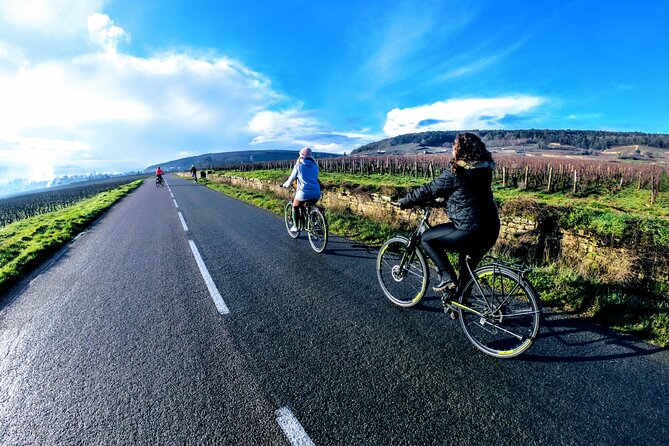 Discovery by bike & Tasting in the vineyards - Marsannay-la-Côte gives the ride its first wine-country flavor