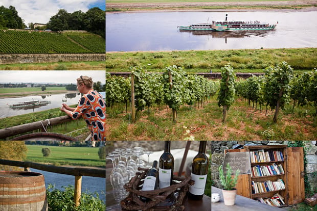 Dresden Bike Tour with Wine Tasting - Albrechtsberg Palace and the vineyard stop
