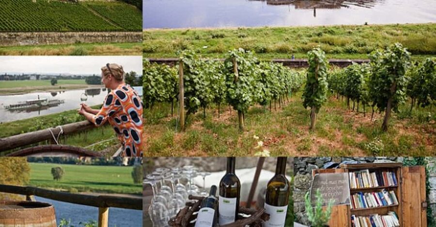 Dresden Bike Tour with Wine Tasting - Should you book it?