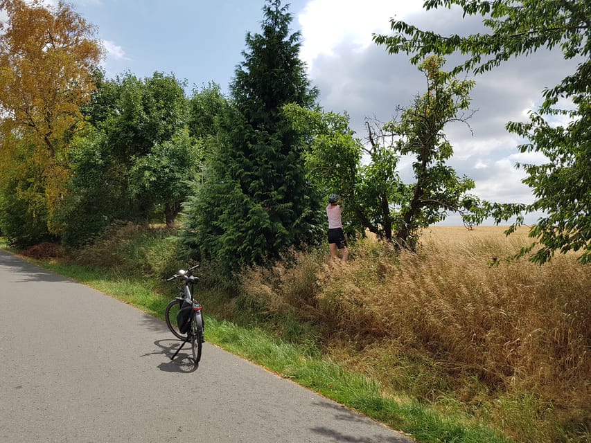 Dresden: E-Bike Tour and Dresden Heath Forest Trails - How to prepare for the four hours