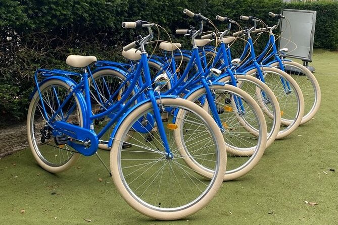 Dublin Full Day Bike Rental - Choosing the right bike for your group