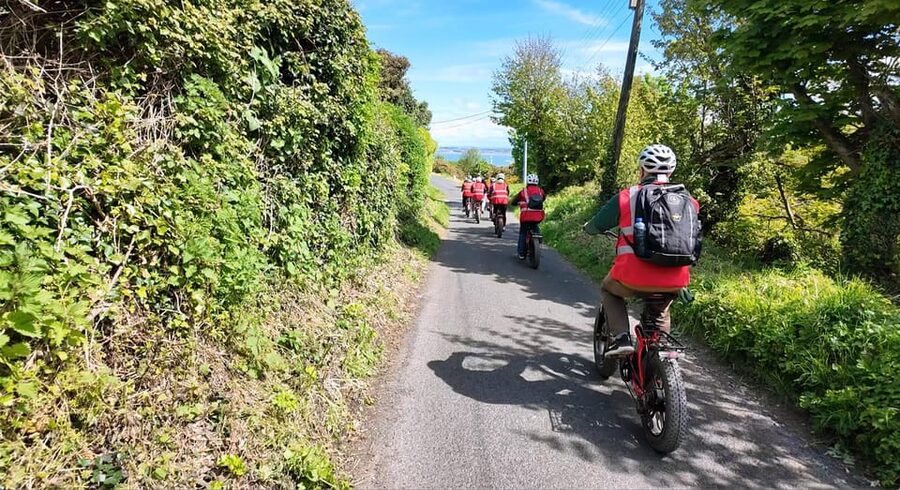 Dublin: Panoramic e-Bike Tour - Who should book this e-bike tour