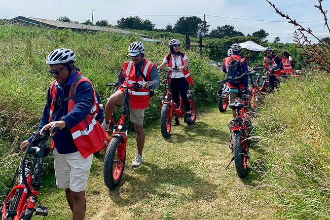 Dublin Panoramic e-Bike Tour with Howth Adventures - Climbing to Howth Head Without the Grind