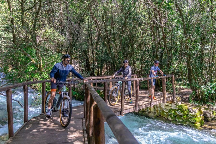 Dubrovnik Guided Private E-bike Tour - Lapad Promenade and the calm of Petka Forest