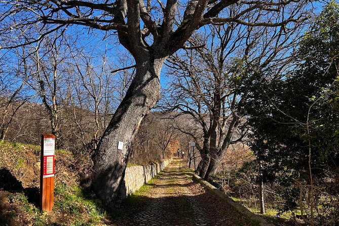 E-bike between towers and medieval villages at the foot of Sirente Abruzzo - Goriano Valli, local food, and a quiet finish