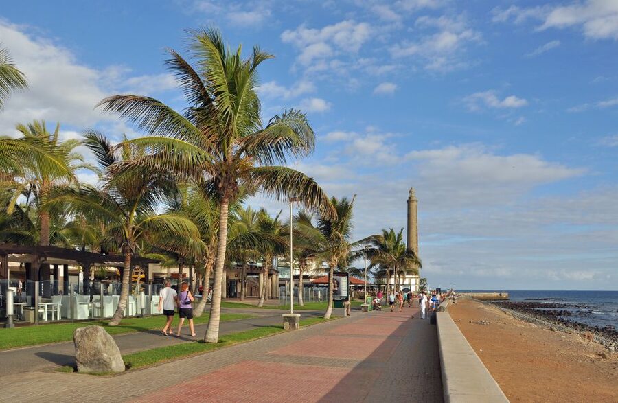 E-Bike City Tour included Camel Tour inside Maspalomas Dunes - Who should book this tour