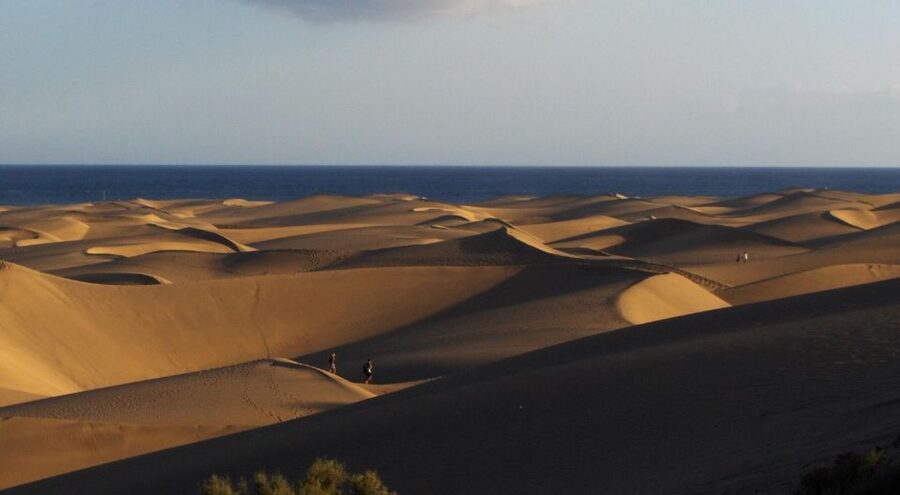 E-Bike City Tour included Camel Tour inside Maspalomas Dunes - Two hours, two very different Maspalomas experiences