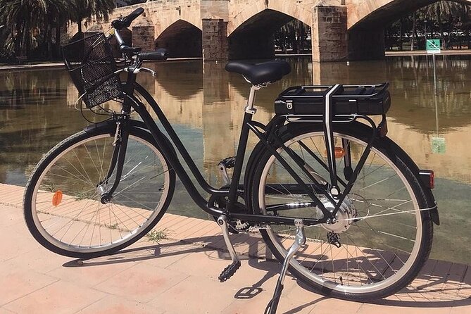 E-Bike Grand Valencia Private Tour - The City of Arts and Sciences supplies the big visual change
