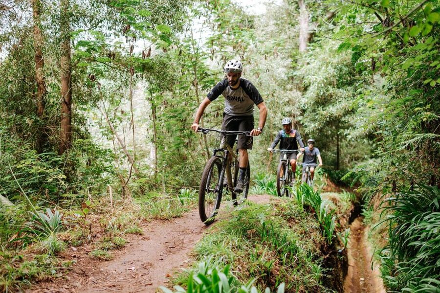E-Bike Guided Tour - Mountain biking experience - Starting in Funchal and climbing toward Camacha