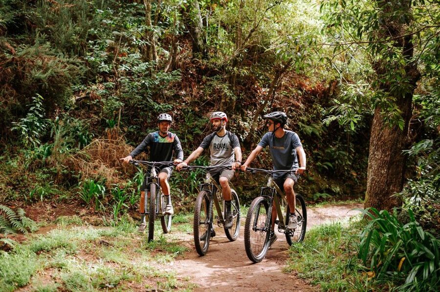 E-Bike Guided Tour - Mountain biking experience - Riding the levadas and forest tracks