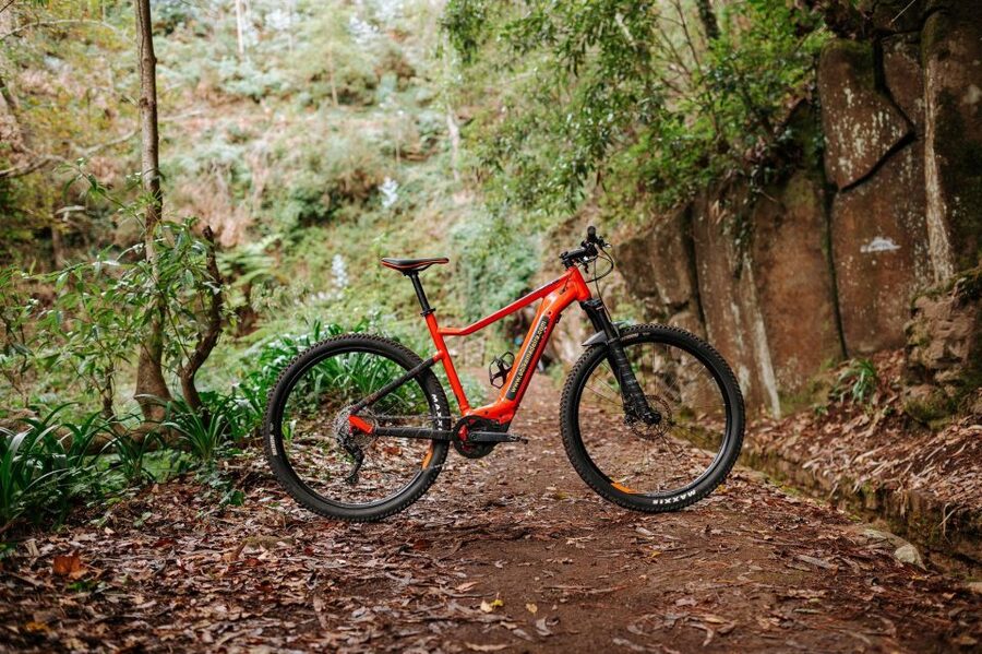 E-Bike Guided Tour - Mountain biking experience - Camacha’s high-country setting