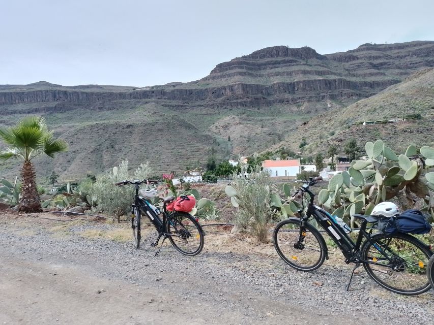 E-Bike Mountain Tour in Natural Park +Option Tapas in a Cave - Key points to know before you book