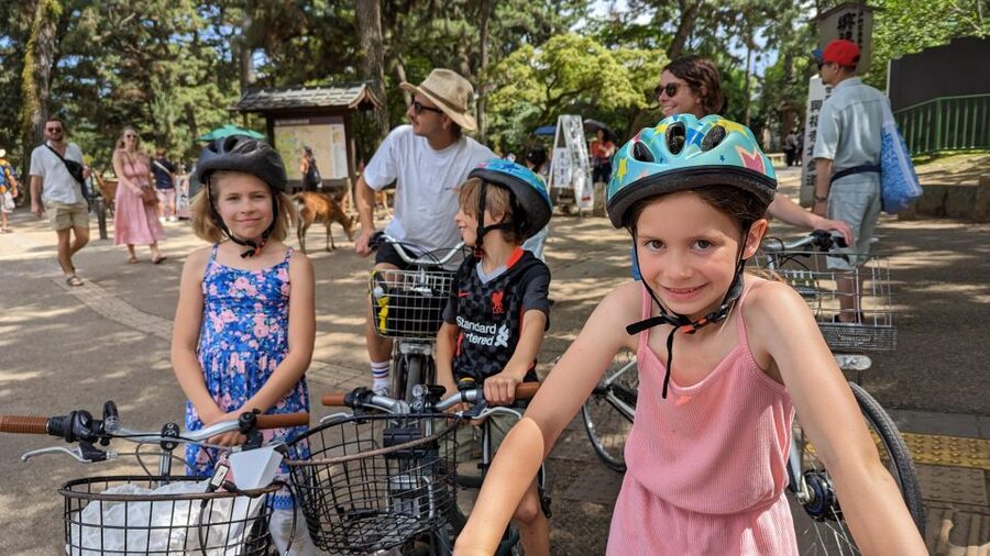 E-Bike Nara Highlights - Todaiji, Knives, Deer, Shrine - Nara Park and the deer