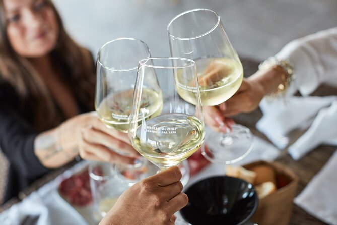 E-Bike tour and Wine tasting from Desenzano Inland - Food requests and group arrangements