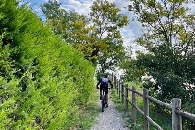 E-Bike tour and Wine tasting from Desenzano Inland - Is $102.41 a fair price?