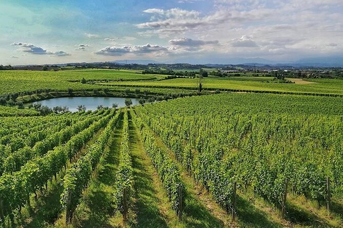 E-Bike tour and Wine tasting from Desenzano Inland - What the e-bike portion is really like