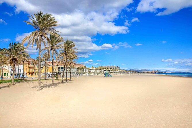 E-bike Tour: Beaches, & City of Arts and Sciences (From €30,00) - From Ruzafa to La Marina de Valencia