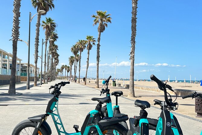E-bike Tour: Beaches, & City of Arts and Sciences (From €30,00) - Returning to the City of Arts and Sciences