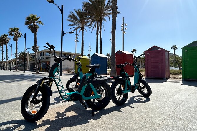 E-bike Tour: Beaches, & City of Arts and Sciences (From €30,00) - Finishing at Mercado de Colón