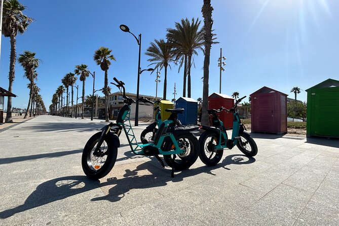 E-bike Tour: Beaches, & City of Arts and Sciences (From €30,00) - Is the €30 price good value?