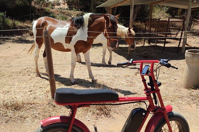 E-Bike Tour in Albufeira - What the e-bike changes