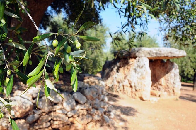 E-bike tour in Ostuni. Oil mill, Dolmen and huge olive trees - The dolmen, dry stone walls, and coastal views