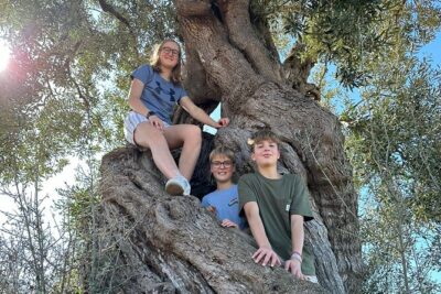 E-bike tour in Ostuni. Oil mill, Dolmen and huge olive trees