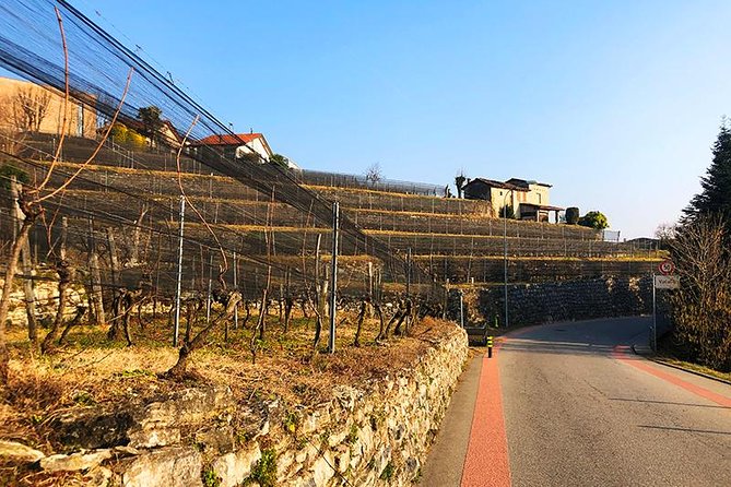 E-Bike Tour Lake Como and Swiss Vineyards - The real physical demands of a 25-kilometer ride