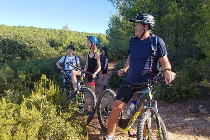 E-Bike tour of Sainte Victoire Mountain, Aix-en-Provence - Lavender fields, forests, dams, and changing surfaces