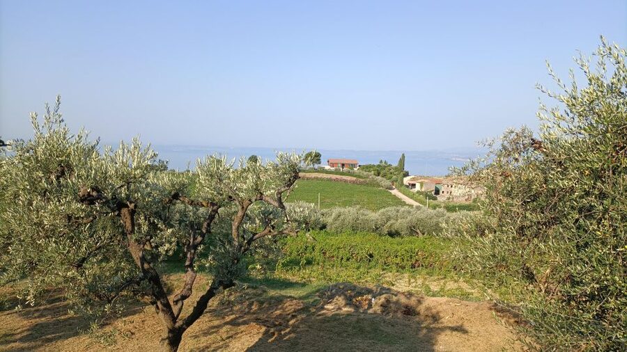 E-Bike Tour with Wine Tasting in the Bardolino area - What the three-hour route feels like