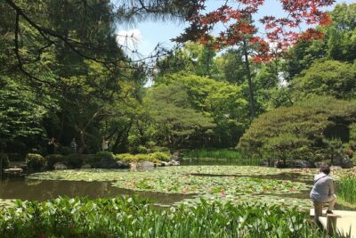 E-Bike Tours of the highlights of Kyoto!!!