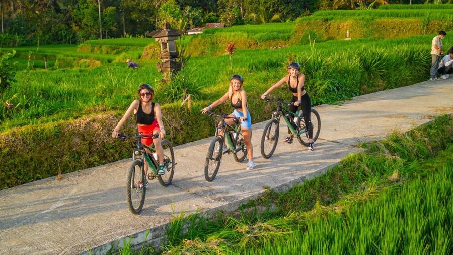 E-Bike: Ubud Rice Terraces & Traditional Villages Cycling - Who will enjoy this ride most