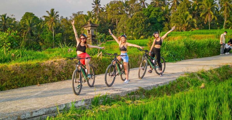 E-Bike: Ubud Rice Terraces & Traditional Villages Cycling - Riding into Tegallalang’s rice terraces