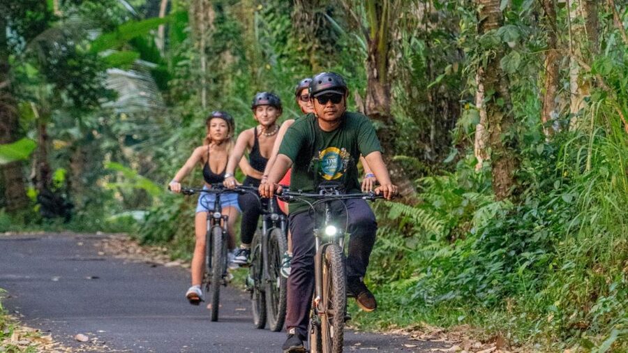 E-Bike: Ubud Rice Terraces & Traditional Villages Cycling - A small group keeps the ride personal