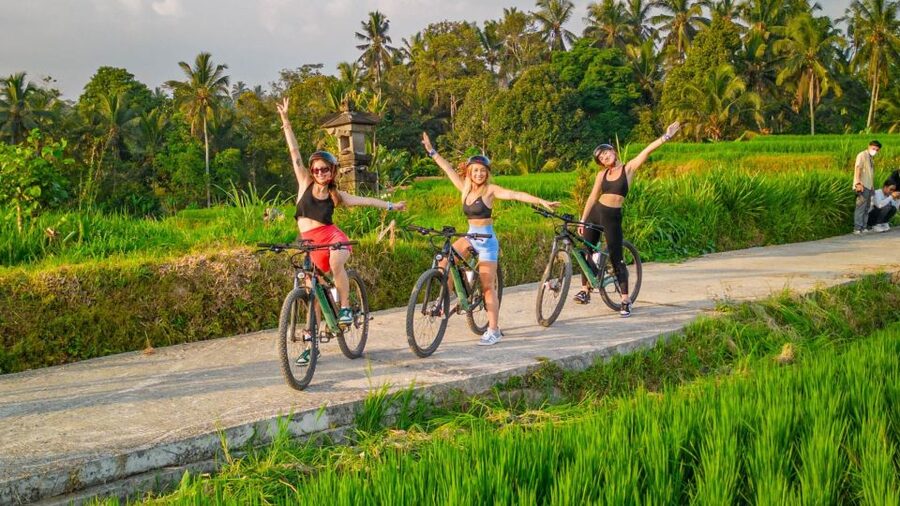 E-Bike: Ubud Rice Terraces & Traditional Villages Cycling - Why the Subak system adds meaning