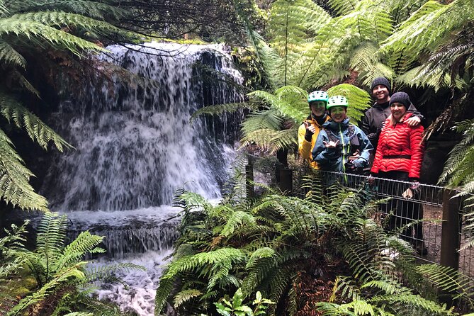 Easy Bike Tour - Mt Wellington Summit Descent & Rainforest Ride - Key points to know before you book