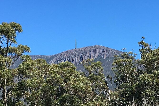 Easy Bike Tour - Mt Wellington Summit Descent & Rainforest Ride - The 1,270-metre summit: excellent views, limited time