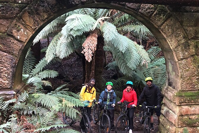Easy Bike Tour - Mt Wellington Summit Descent & Rainforest Ride - The 6-kilometre road descent: cold, quick, and more demanding