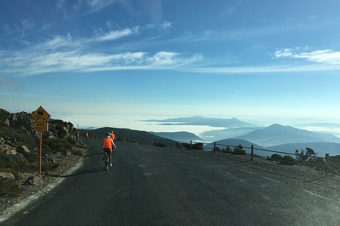 Easy Bike Tour - Mt Wellington Summit Descent & Rainforest Ride - Lost Freight Cafe gives you a useful reset