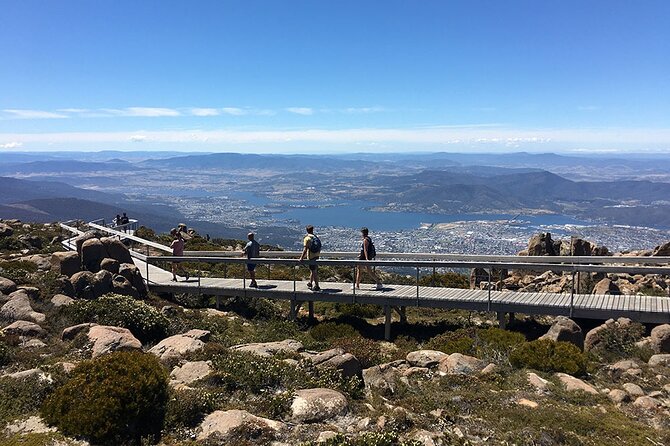 Easy Bike Tour - Mt Wellington Summit Descent & Rainforest Ride - The rainforest trail is the heart of the experience