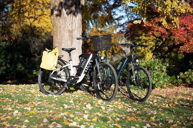 eBike Rentals in Kelowna - Mission Creek for a longer, relaxed outing