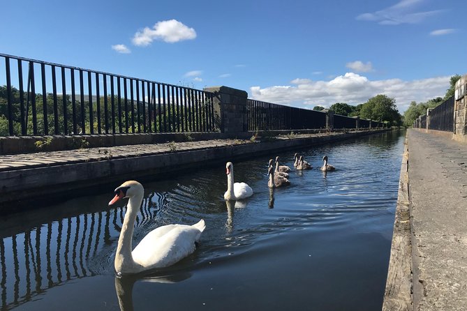 Edinburgh City Bike Tour - Choice of E-Bike or Manual - Portobello Beach brings a welcome change of pace