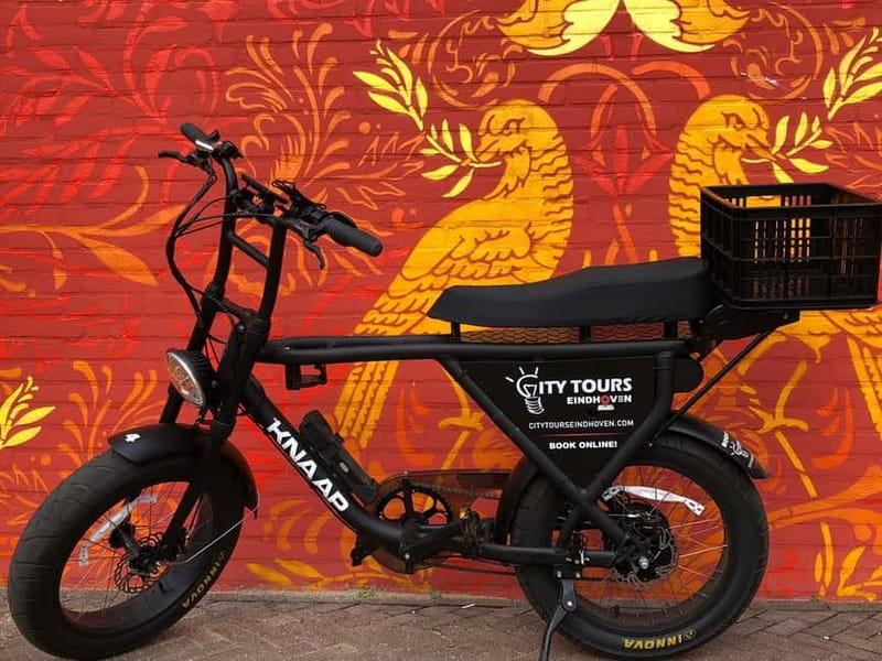 Eindhoven: E-Fatbike Tour The Footsteps Of Vincent van Gogh - Following the Van Gogh web app
