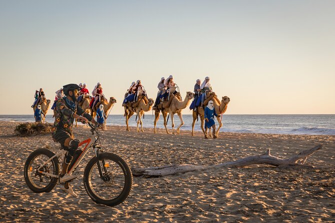 Electric Bike and Beach Camel Ride with Mexican Buffet Lunch - From Cabo to the Pacific Coast