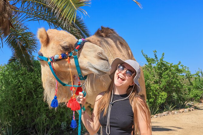 Electric Bike and Beach Camel Ride with Mexican Buffet Lunch - What the $129 Price Really Covers