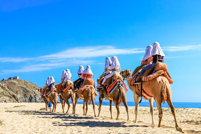 Electric Bike and Beach Camel Ride with Mexican Buffet Lunch - Timing, Comfort, and Small Things to Know