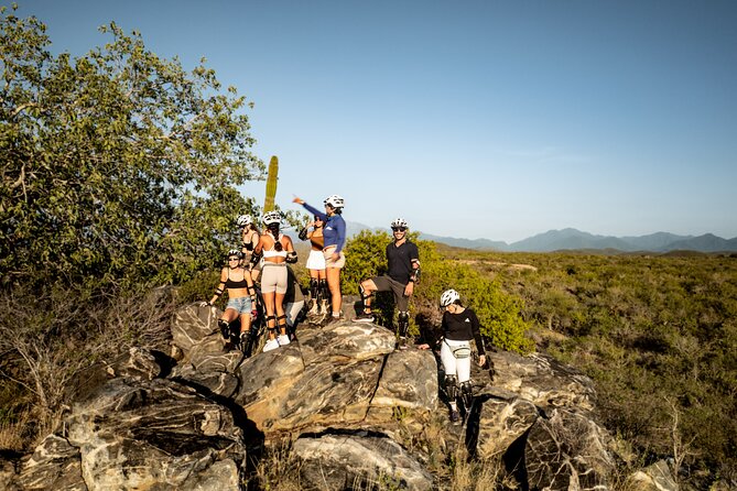 Electric Bike and Beach Camel Ride with Mexican Buffet Lunch - Should You Book This Baja Adventure?